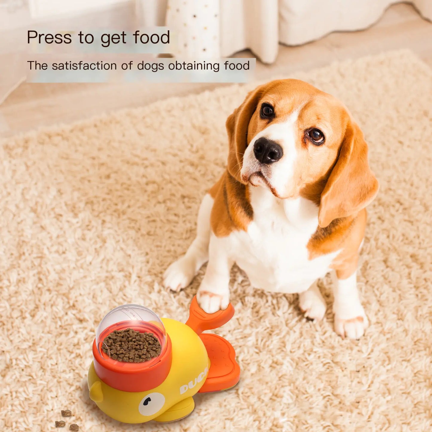 Intelligent Automatic Pet Feeder